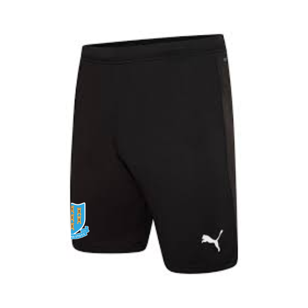 Ballymena United Puma Team Rise Shorts